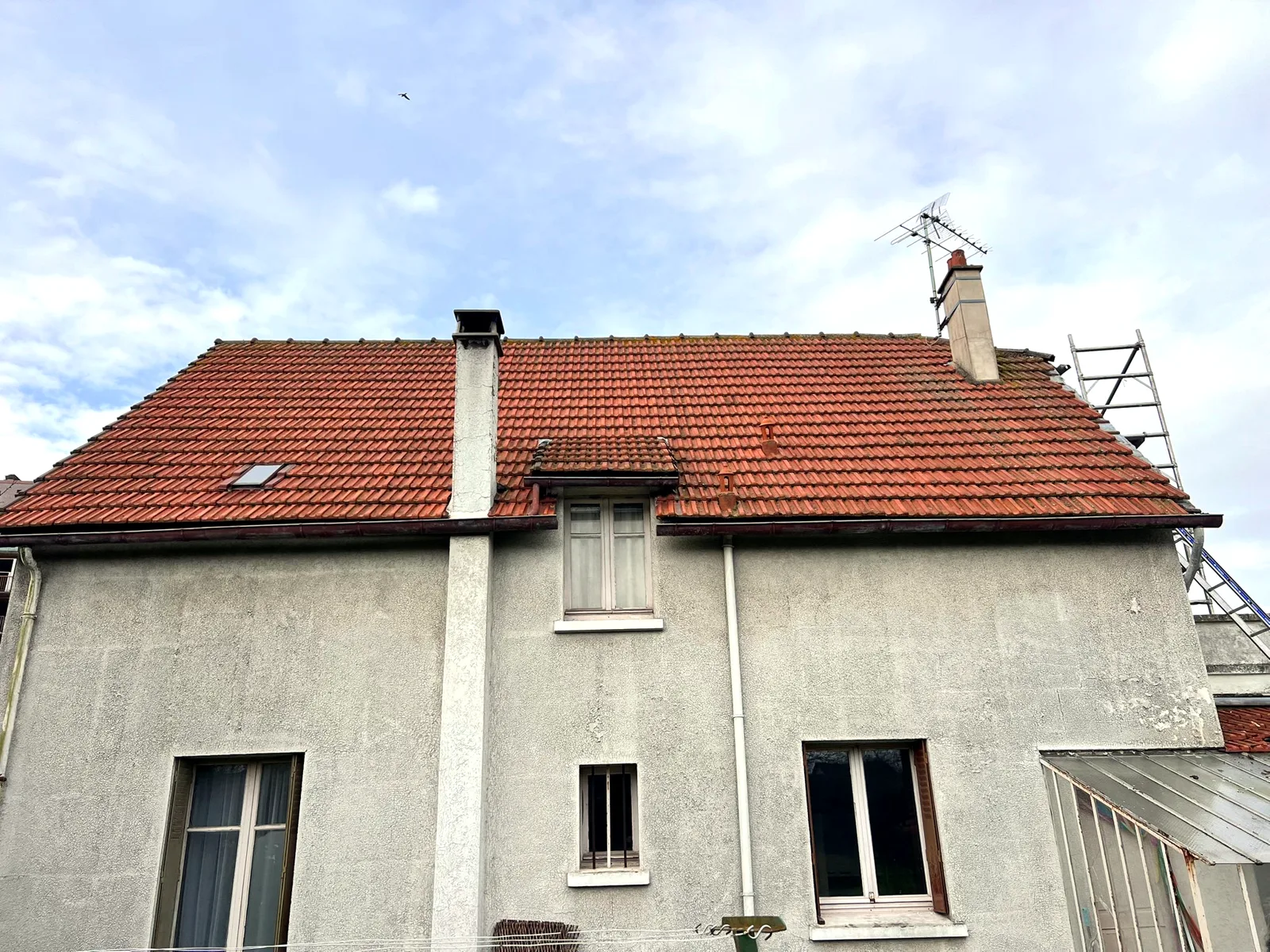 Toiture avant intervention : mousse et tuiles noircies